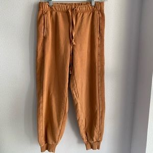 Aerie Sweatpants in Color Rust